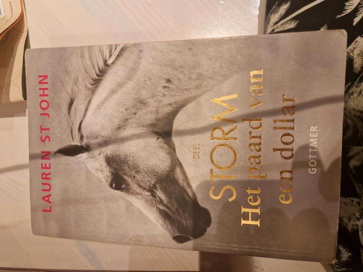 Lauren St John - Het paard van een dollar, Boeken, Kinderboeken | Jeugd | 10 tot 12 jaar, Zo goed als nieuw, Ophalen of Verzenden