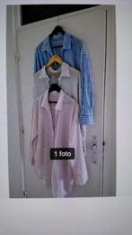 3 lange oversized katoenen overhemdblouses (L)  H&M, Kleding | Dames, Blouses en Tunieken, Ophalen, H&M, Blauw, Maat 42/44 (L)