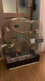 Vogelkooi, Dieren en Toebehoren, Ophalen of Verzenden, Zo goed als nieuw, Metaal, Vogelkooi
