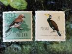 2 x vogel Polen, Gaai Aalscholver, Ophalen of Verzenden, Gestempeld, Dier of Natuur