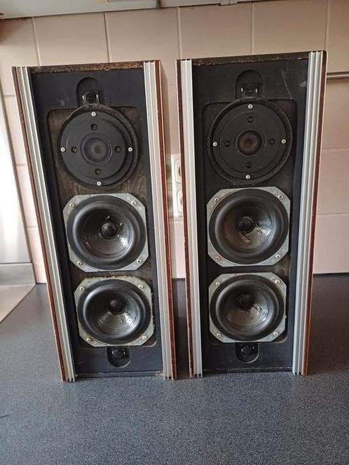 Goodmans Double Maxim luidsprekers, Audio, Tv en Foto, Luidsprekers, Zo goed als nieuw, Front, Rear of Stereo speakers, Minder dan 60 watt