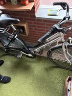 Damesfiets Pelikaan  met versnelling, 53 tot 56 cm, Ophalen, Gebruikt, Overige merken