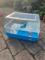 Hamsterkooi met toebehoren, Dieren en Toebehoren, Knaagdieren en Konijnen | Hokken en Kooien, Kooi, Gebruikt, Minder dan 75 cm