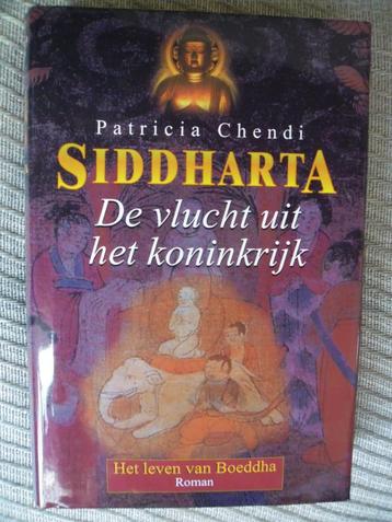 Siddharta-Het leven van de Boeddha boek 1 De Vlucht uit het beschikbaar voor biedingen