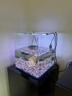 Aquarium, Ophalen, Nieuw, Leeg aquarium