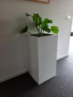 plantenbak polyester hoogglans wit 40x40x80, Tuin en Terras, Bloembakken en Plantenbakken, Ophalen, Tuin, Kunststof, Minder dan 60 cm