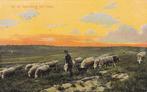 GA1016 Op de Zijpenberg Velp Gelderland Rheden schapen, Verzenden, Voor 1920, Gelopen, Gelderland