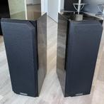 Hepta Ace Gold speakers, Gebruikt, 60 tot 120 watt, Front, Rear of Stereo speakers, Ophalen