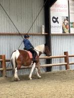 Instructie gezocht voor manege in Leiden, Paardrijles of Ponykampen