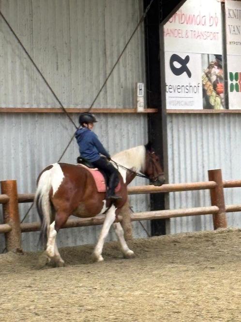Instructie gezocht voor manege in Leiden, Diensten en Vakmensen, Dieren | Paarden | Verzorging, Oppas en Les, Paardrijles of Ponykampen