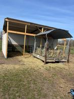 Stallimhye huur, Dieren en Toebehoren, Stalling en Weidegang, Weidegang, 2 of 3 paarden of pony's