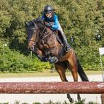Ambiteuze amazone aangeboden voor trainings paarden / ponys, Dieren en Toebehoren, Stalling en Weidegang, Stalling, 4 paarden of pony's of meer