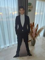 Levensgrote kartonnen Zayn Malik one direction, Verzamelen, Ophalen, Zo goed als nieuw, Pop