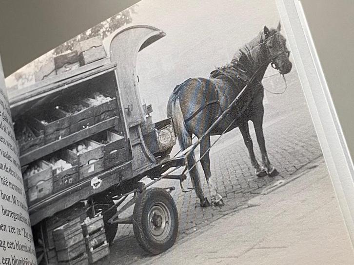 verhalen in het streekdialect van de Hoeksche Waard 2006, Boeken, Streekboeken en Streekromans, Zo goed als nieuw, Zuid-Holland