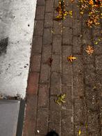 Gratis klinkers, Tuin en Terras, Ophalen, Gebruikt, Klinkers, 10 m² of meer