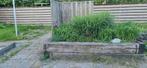 Bielzen de gratis, Tuin en Terras, Bielzen en Borders, Ophalen, Gebruikt, Biels, 200 cm of meer