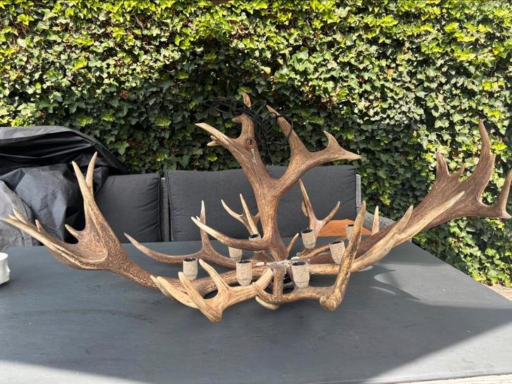 Unieke Kroonluchter/Luster Geweien, Huis en Inrichting, Lampen | Kroonluchters, Nieuw, Overige materialen, Ophalen of Verzenden