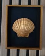 Gouden Schelp in Lijst madebyme, Ophalen of Verzenden, Nieuw