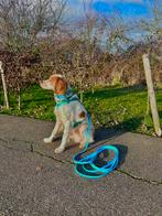 Biothone honden lijnen 5 meter, Ophalen of Verzenden, Nieuw