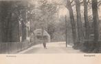 Santpoort bij Bloemendaal stationweg, Ophalen of Verzenden, Voor 1920, Ongelopen, Noord-Holland