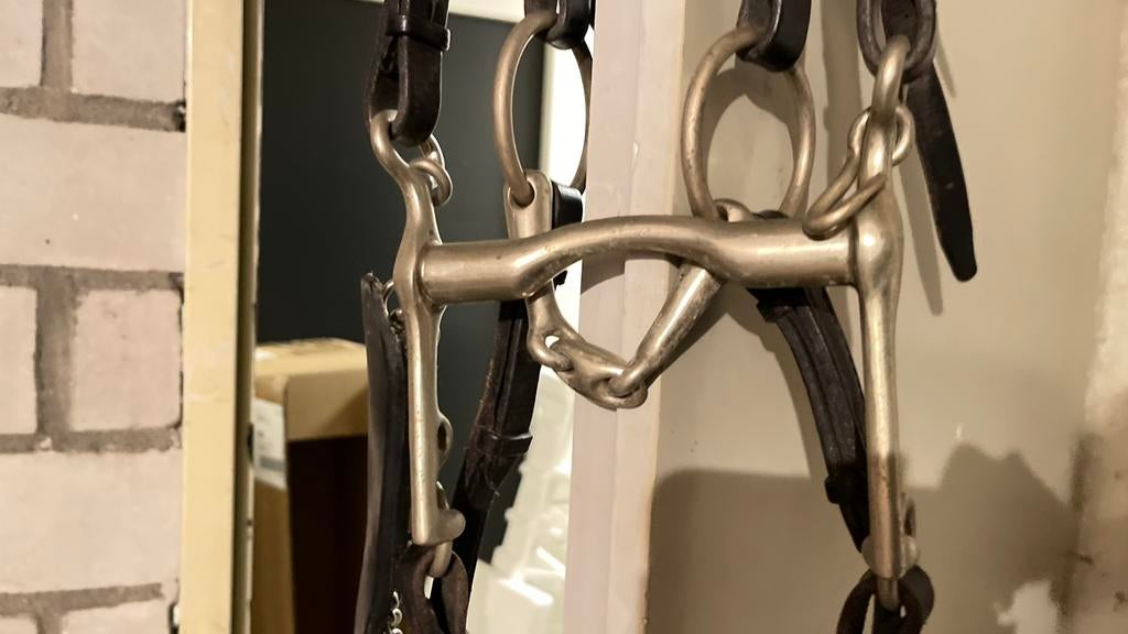 Kieffer Stang en trens hoofdstel, argentaan, Dieren en Toebehoren, Paarden en Pony's | Hoofdstellen en Tuigage, Gebruikt, Dressuur