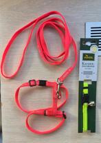 Katten tuigje, kat, riem / reflecterende halsband + belletje, Dieren en Toebehoren, Ophalen of Verzenden, Zo goed als nieuw