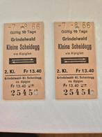 Treinkaartjes Grindelwald - Kleine Scheidegg (2st), Verzamelen, Spoorwegen en Tramwegen, Ophalen of Verzenden, Gebruikt, Trein