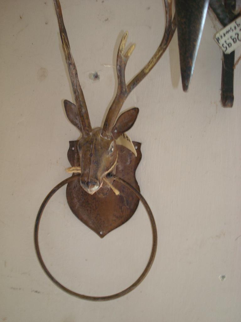 hertenkop met ring evt voor handoek, Antiek en Kunst, Curiosa en Brocante, Ophalen of Verzenden