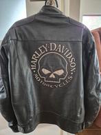 Harley Davidson Motorjas Willie G Skull - XL, Motoren, Overige merken, Heren, Jas | leer, Ophalen of Verzenden