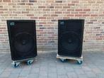 Paar SOLTON SA415 SUBS. 15”, ingebouwd Filter, Ophalen, 120 watt of meer, Subwoofer, Overige merken
