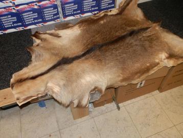 Schapenvel kleed 150 cm lang 60 cm breed beschikbaar voor biedingen