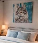 Canvas Schilderij Kat, Ophalen, Minder dan 50 cm, Zo goed als nieuw, Schilderij