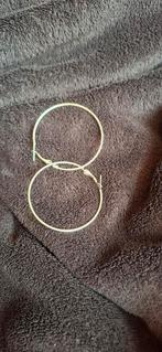 Zilverkleurige oorbellen, Ophalen of Verzenden, Zo goed als nieuw, Zilver, Overige materialen