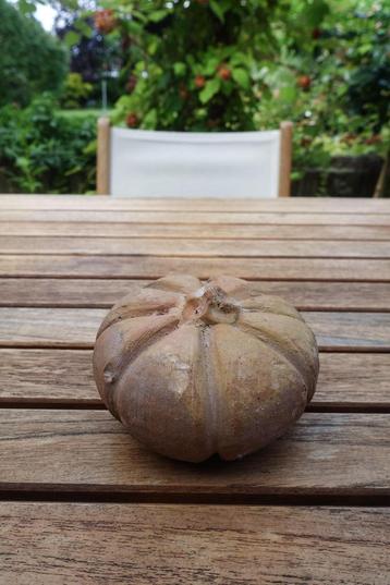 sfeervolle deco pompoen van terracotta - kan ook buiten beschikbaar voor biedingen