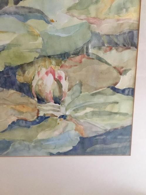 Mooie aquarel waterlelie met passe-partout en museum glas, Antiek en Kunst, Kunst | Schilderijen | Modern, Ophalen of Verzenden