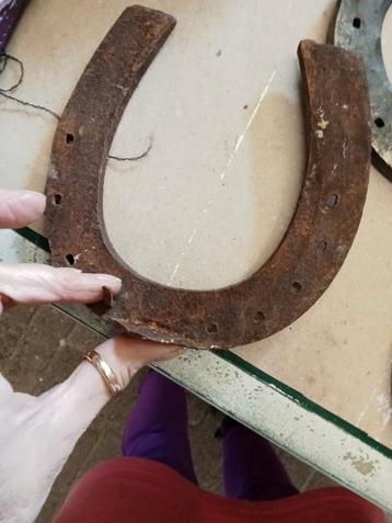Dik hoefijzer, Steunzool voor paard beschikbaar voor biedingen
