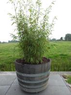 Eikenhouten Plantenbak Bloembak Vat Wijnvat Minivijver 150L, Nieuw, Rond, Hout, 30 tot 60 cm