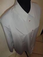 maat 48 valt als 50 oksel tot oksel 68 cm, Kleding | Dames, Grote Maten, Ophalen of Verzenden, Zo goed als nieuw, Grijs, Blouse of Tuniek