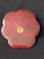 Broche klaproos. Gedroogde bloem in kunststof, Sieraden, Tassen en Uiterlijk, Ophalen of Verzenden, Zo goed als nieuw, Rood, Overige materialen