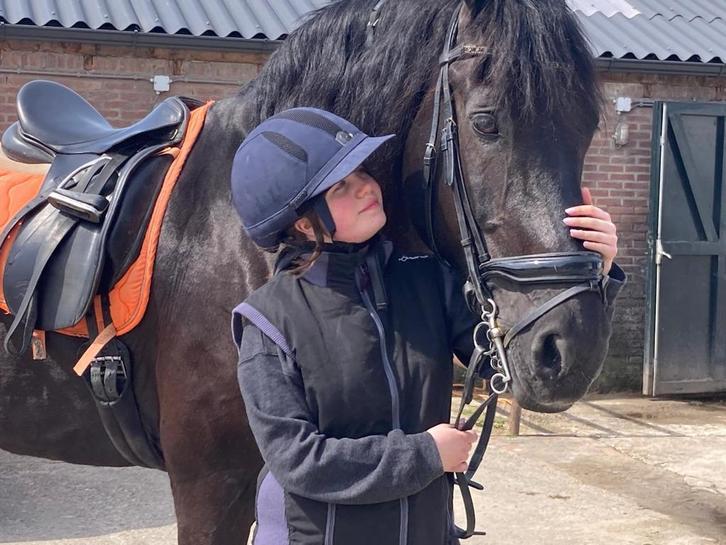 Ervaren ruiter zoekt verzorgpony/paard, Dieren en Toebehoren, Paarden en Pony's | Verzorgingsproducten, Zo goed als nieuw, Ophalen of Verzenden