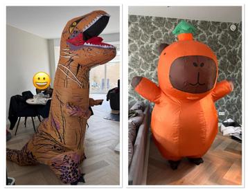 Opblaaspak,mascotte pak, dino, capibara, halloween beschikbaar voor biedingen