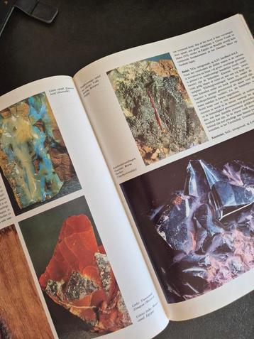 Mineralen Vincenzo De Michele beschikbaar voor biedingen