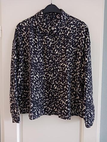 Zwart met beige blouse beschikbaar voor biedingen