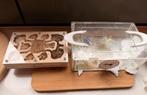 Messor ibericus 150+ mierenkolonie met formicarium, Verzenden, Nieuw