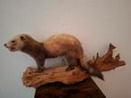 Bunzing is heel mooi opgezet op mooie boomstronk, Ophalen, Zo goed als nieuw, Wild dier, Opgezet dier