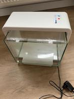 Aquarium, Dieren en Toebehoren, Vissen | Aquaria en Toebehoren, Ophalen, Gebruikt, Leeg aquarium