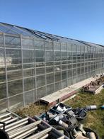 Tuindersglas, Doe-het-zelf en Verbouw, Glas en Ramen, Ophalen, Gebruikt, Minder dan 80 cm, 160 cm of meer