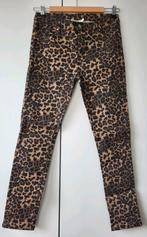 Nieuwe leopard broek maat 38 met labels Lonneke Nooteboom, Kleding | Dames, Maat 38/40 (M), Overige kleuren, Nieuw, Lang