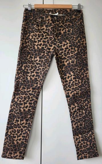 Nieuwe leopard broek maat 38 met labels Lonneke Nooteboom beschikbaar voor biedingen
