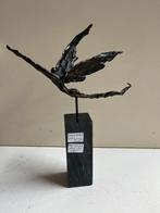 “Met het juiste doel voor ogen” Corry Ammerlaan, Ophalen of Verzenden